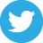 Twitter Social Icon